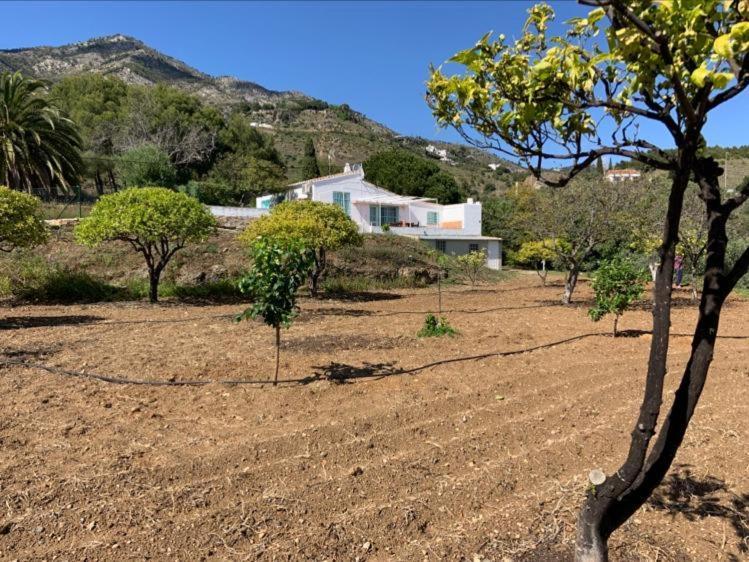 Casa 2Mariposas Villa Mijas Buitenkant foto